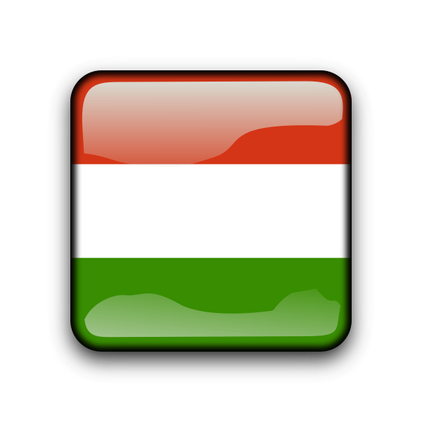 Hungary vector flag button