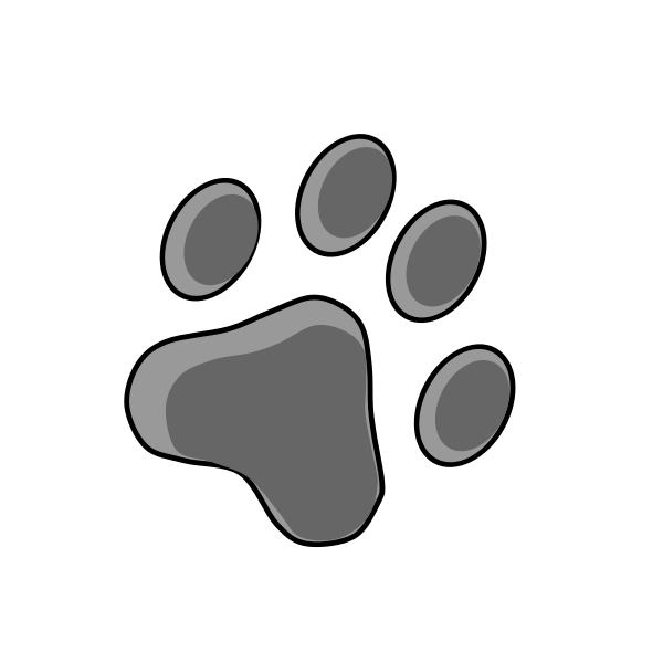 cat footprint