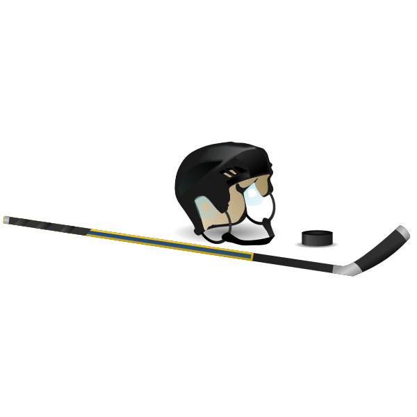 Ice hockey stick, cap and puck vector image