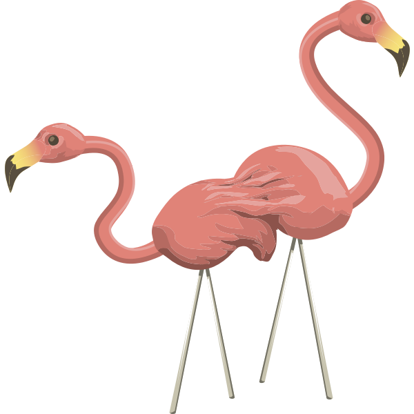 Flamingo image