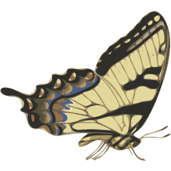 Side view of brown butterfly vector image