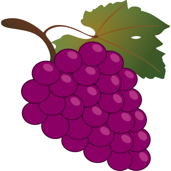 grape