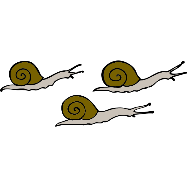 3 snails