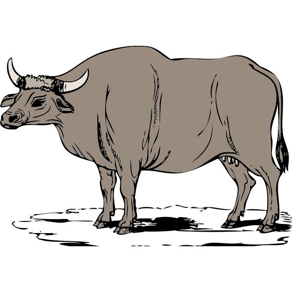 Gaur