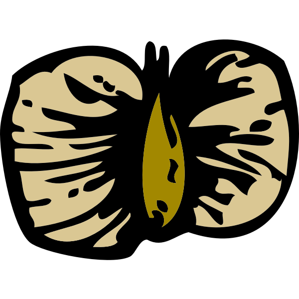 Vector image of birch seed