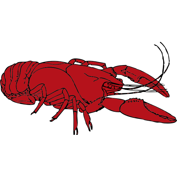 Red crayfish vector clip art