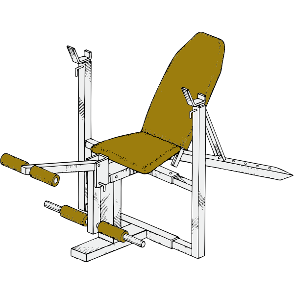 exercise bench