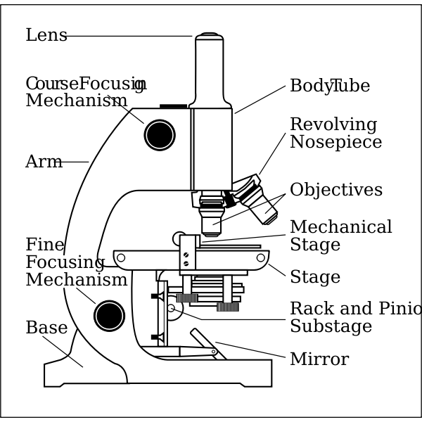 Microscope side vector drawing with parts labelled