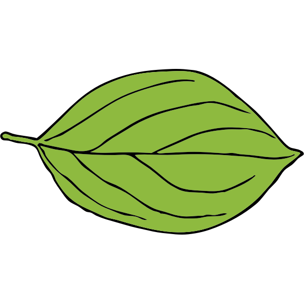 oval leaf 2