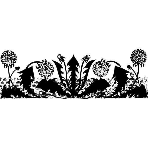 Dandelions vector