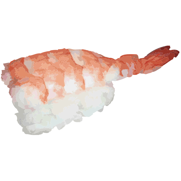 Sushi vector graphics