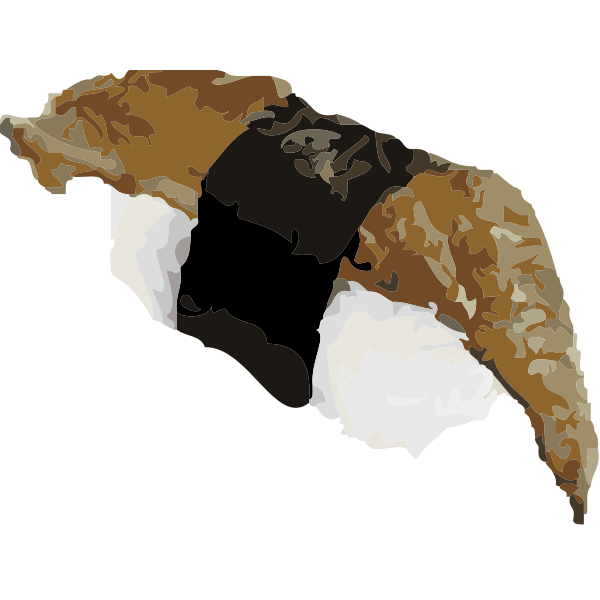 Eel sushi vector art