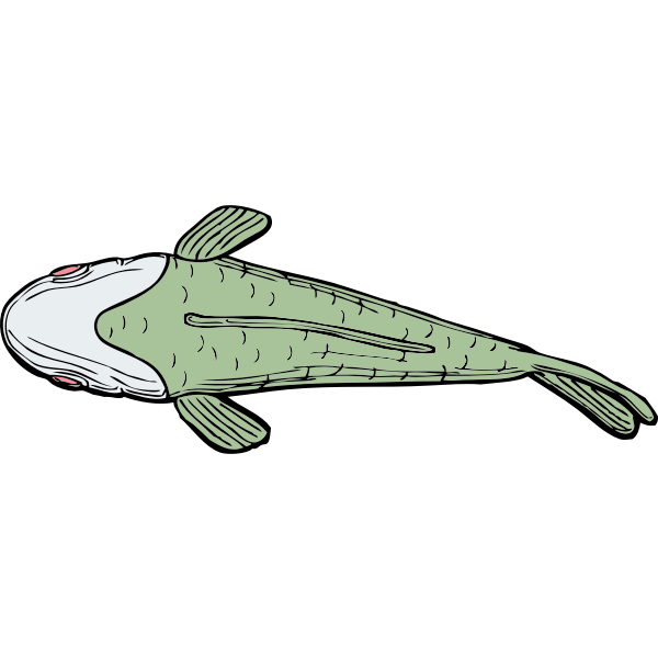 Ugly fish top view vector illustration