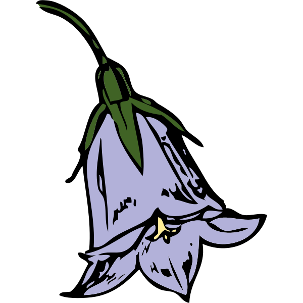 Vector clip art of harebell flower