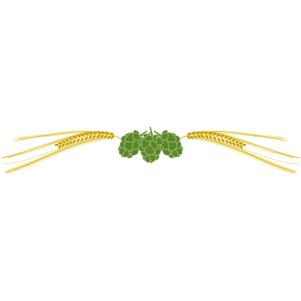 Hops and barley vector