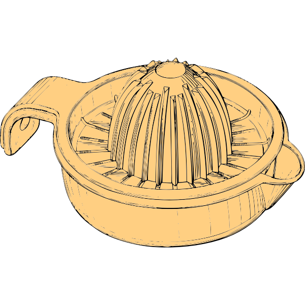 Plastic juicer vector image