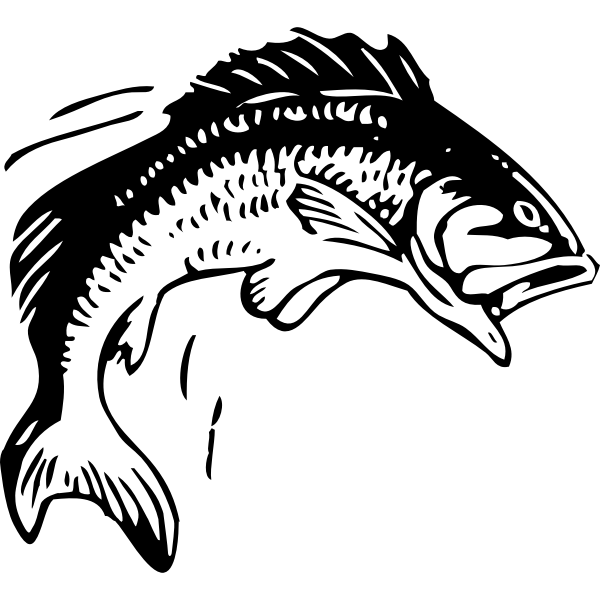 Jumping fish vector image