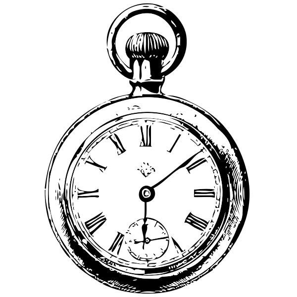 Pocket watch vector image