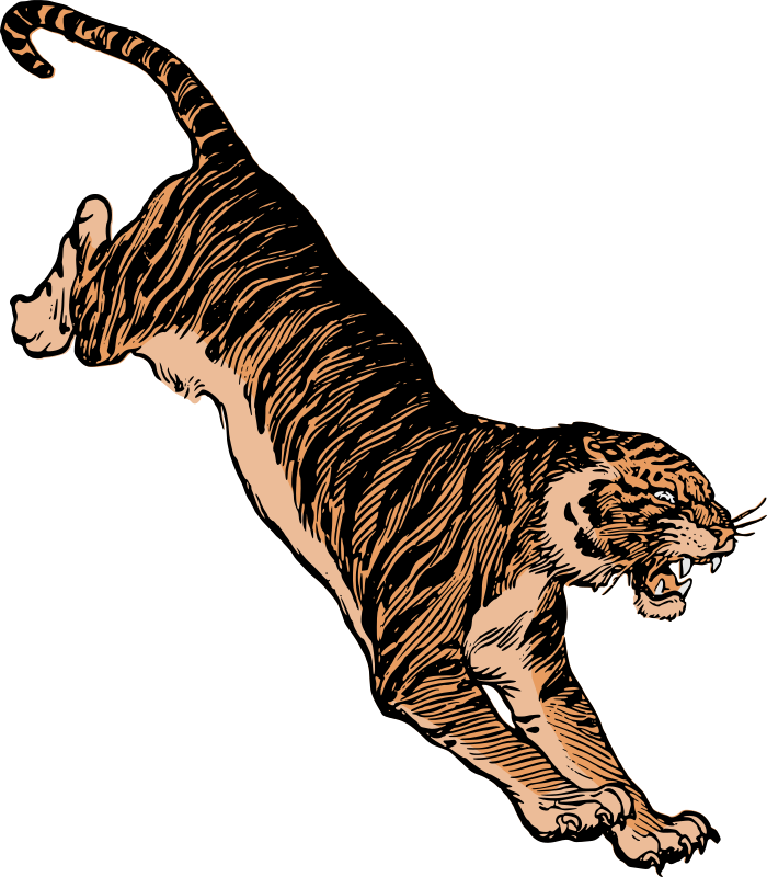 Jumping tiger