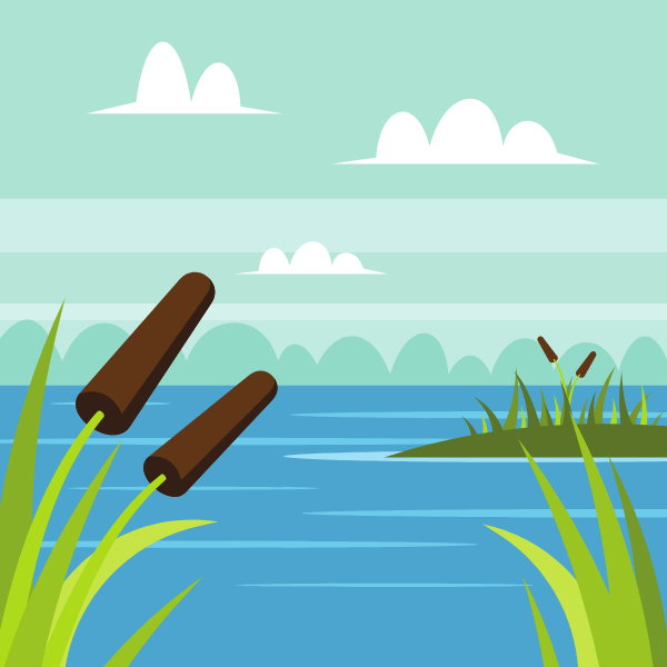 Lake vegetation-1775414828