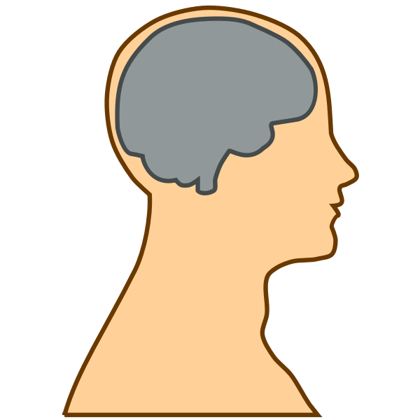 Silhouette of a brain inside a human vector illustration