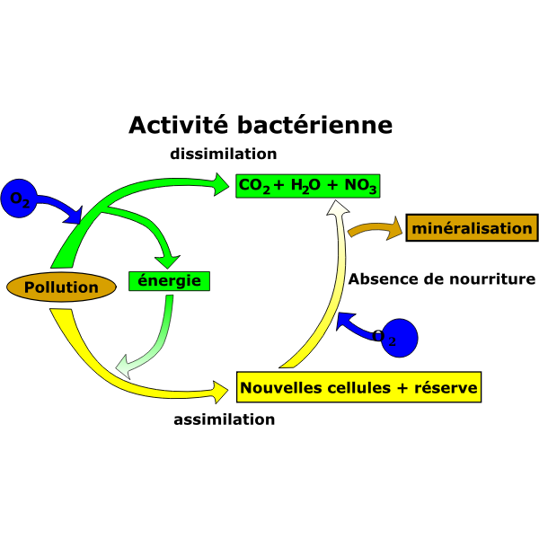 Pollution removal diagram