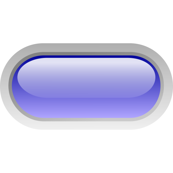 Pill shaped blue button vector image