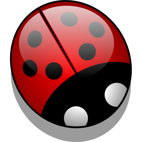 Shiny ladybug