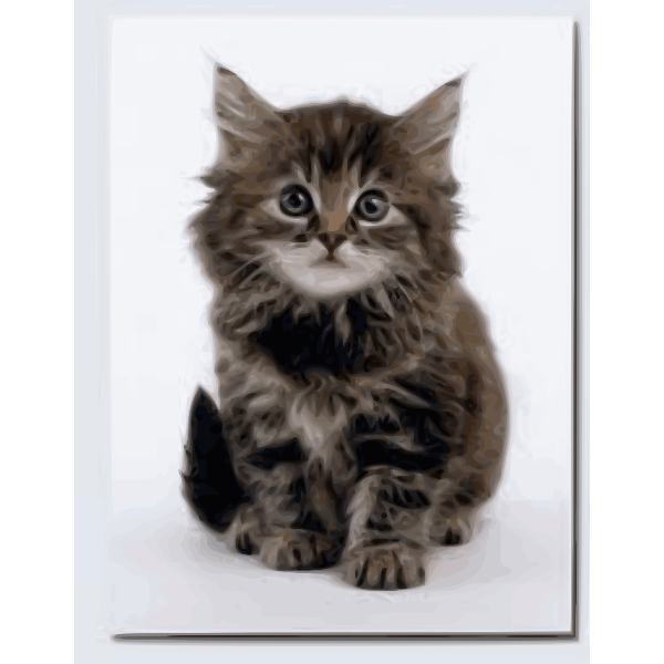 Sweet kitten vector image