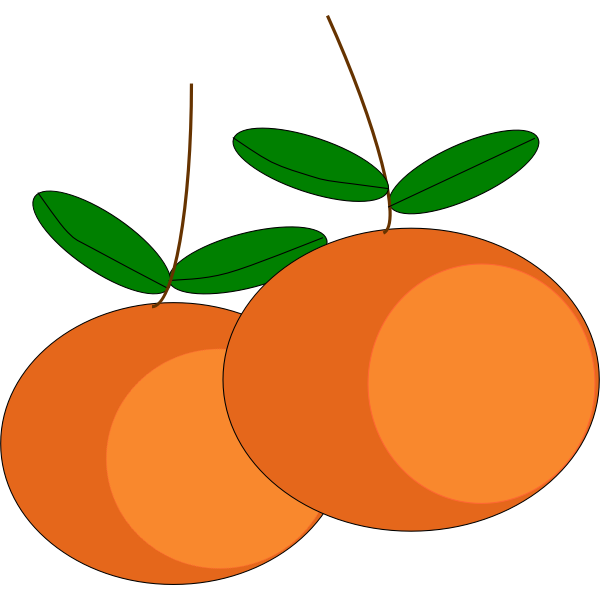 mandarin orange