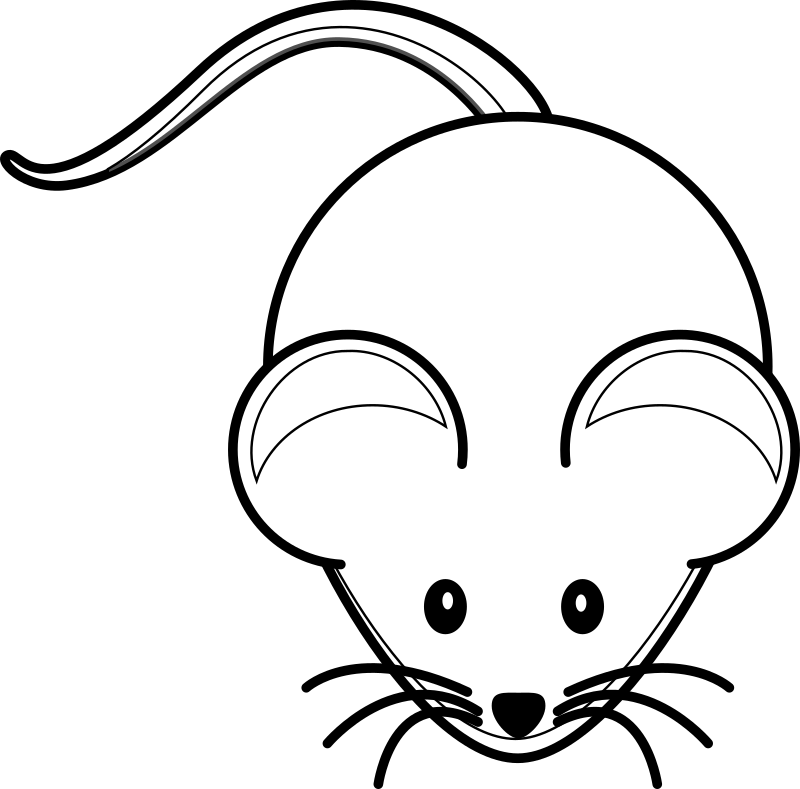 Mouse