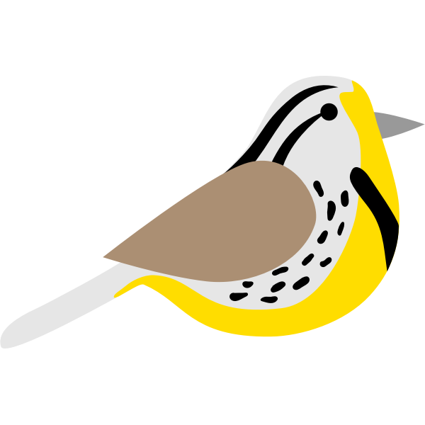 meadowlark