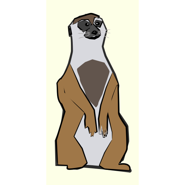 meerkat 01