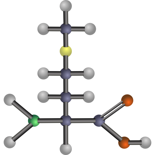 Methionine (amino acid)