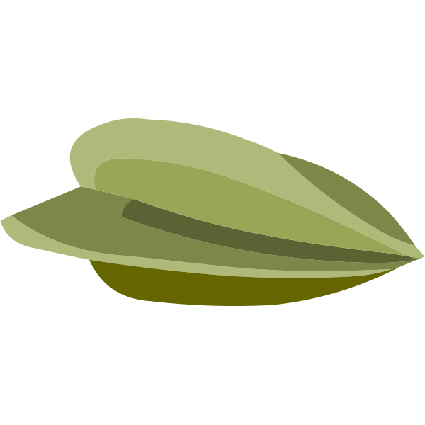 misc starfruit seed