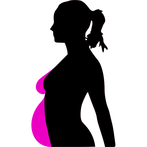 pregnancy silhouet