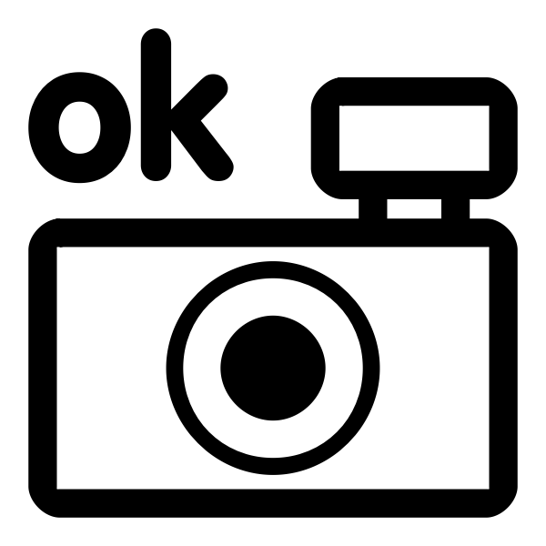 Vector drawing of photo camera black and white OK icon