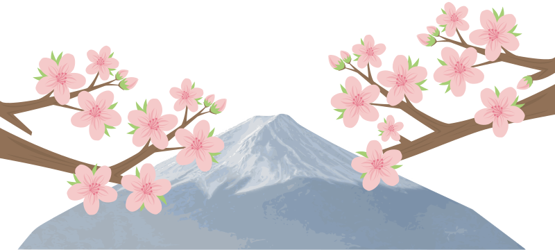 Mount Fuji and Blossoms