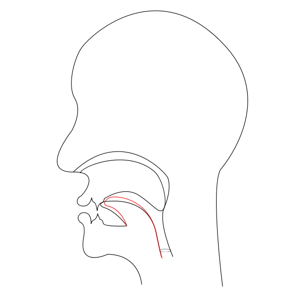 midsagittal CH - voiceless postalveolar affricate