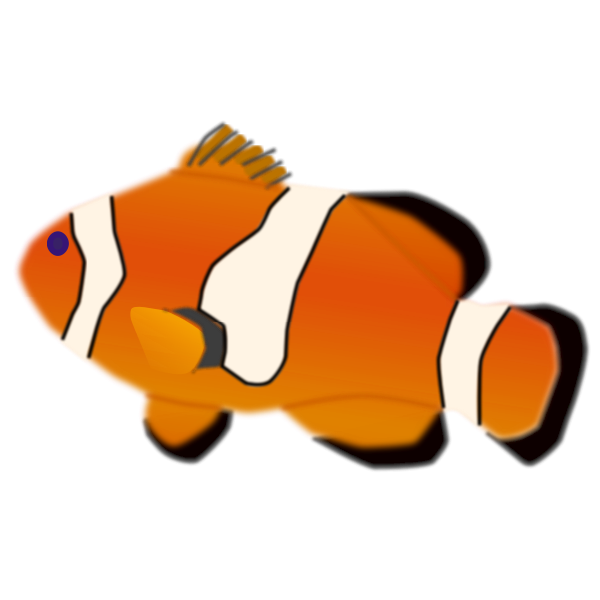 Amphiprion percula fish vector illustration