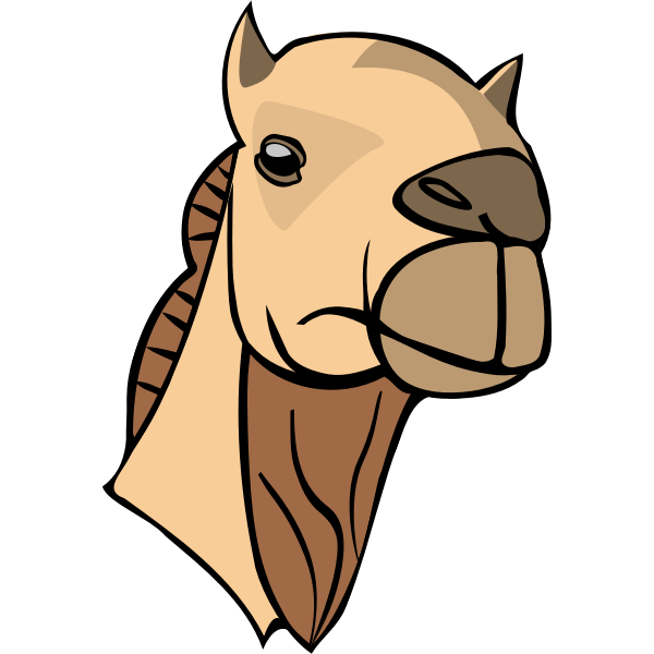 Camel head image