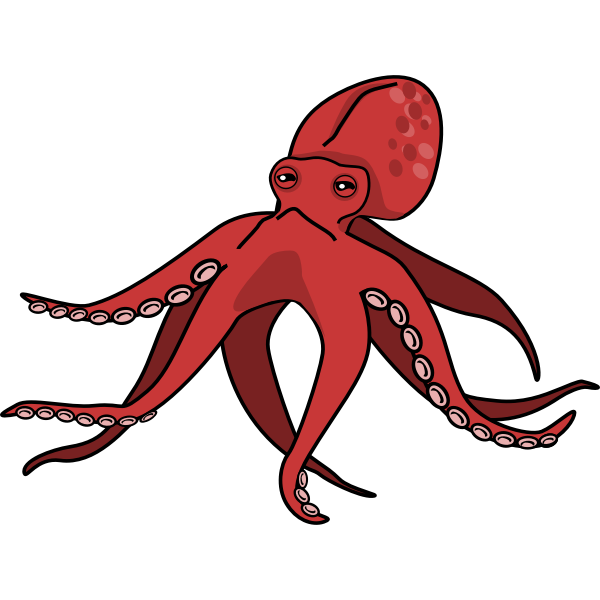 Pink octopus