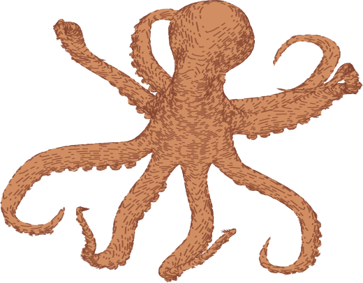 Animated octopus