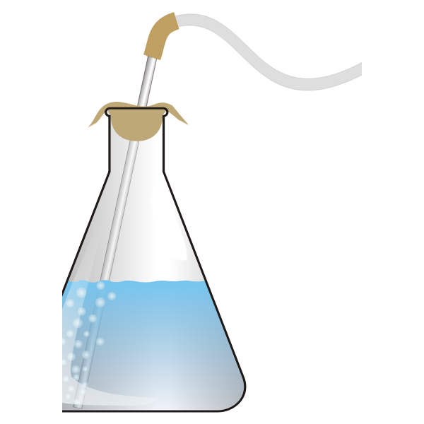 Bubbling erlenmeyer