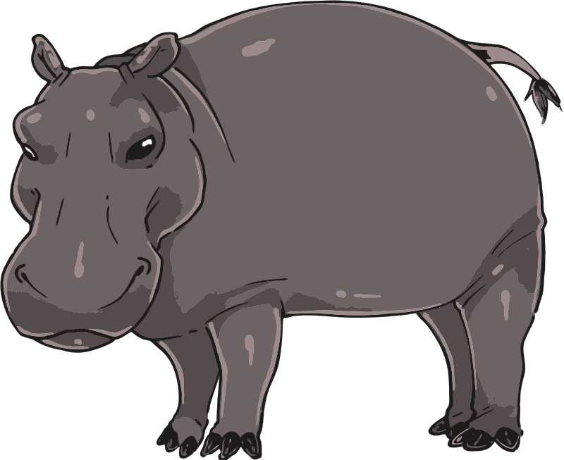 Cartoon Hippopotamus Illustration