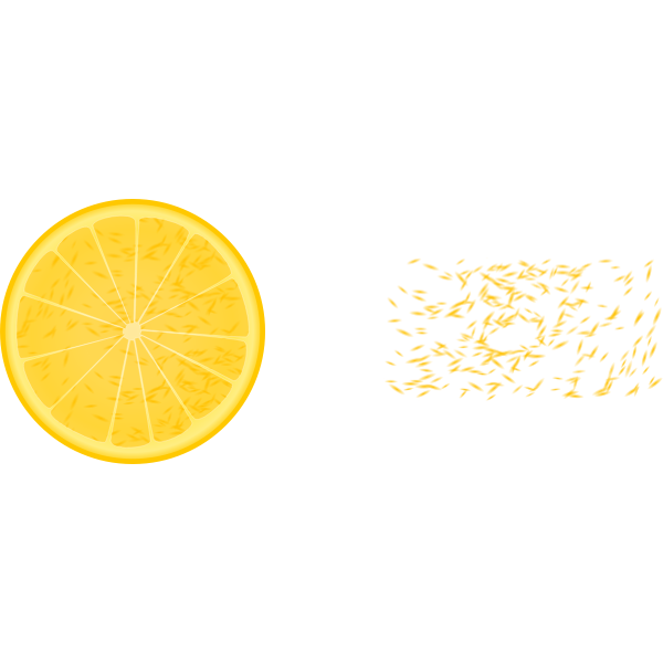 Half orange and orange bits vector clip art