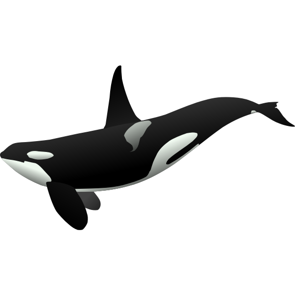 Orca matthew gates r