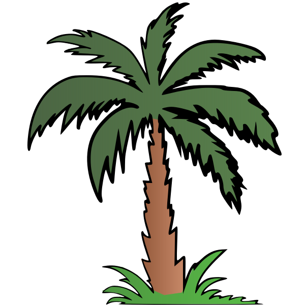 Palm tree in colour
