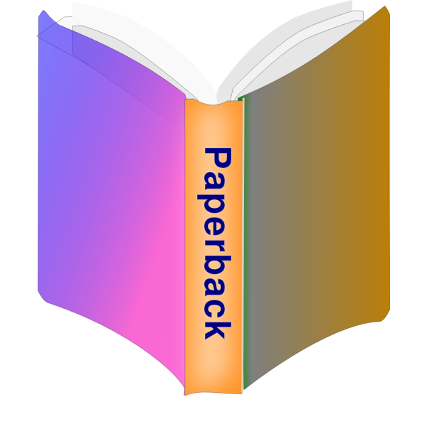 Paperback book icon vector image