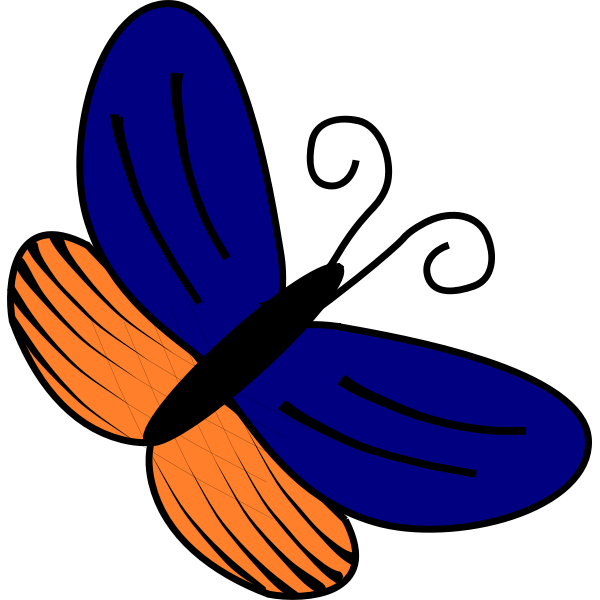 Blue and orange butterfly